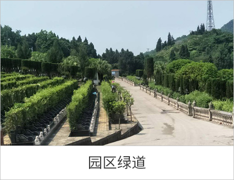 园区绿道