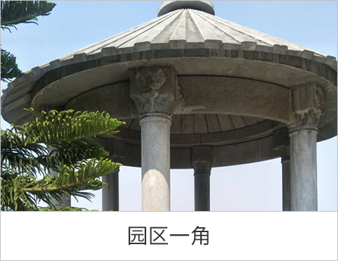 园区一角