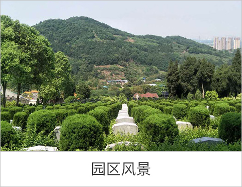 园区风景