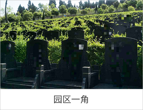 园区一角
