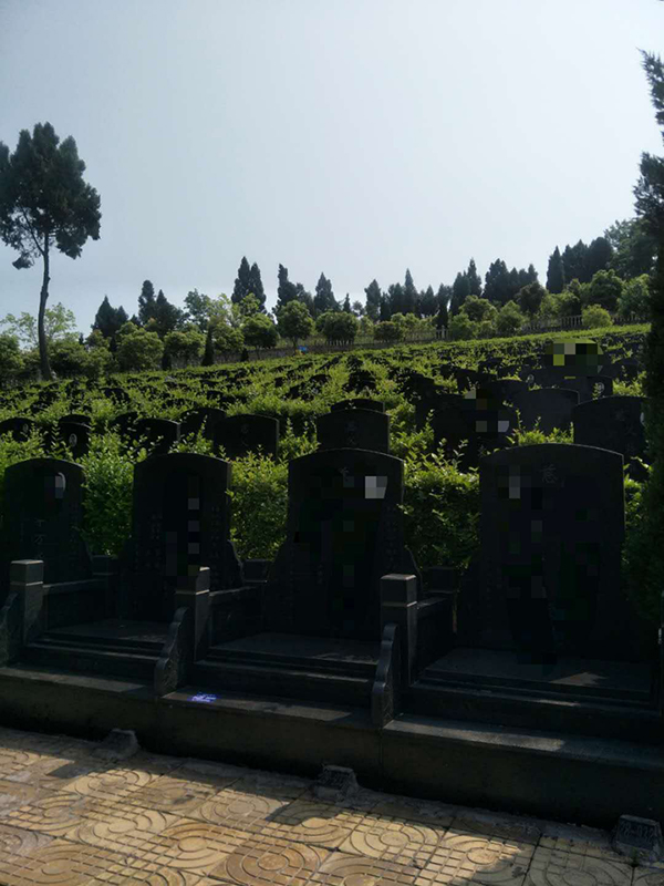 1、园区一角.jpg